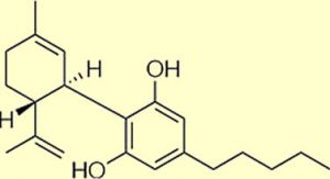 Read more about the article What Is My Endocannabinoid System?